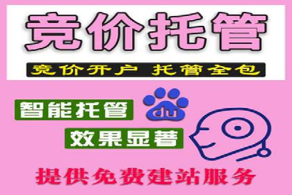 SEM服务案例：提升品牌曝光